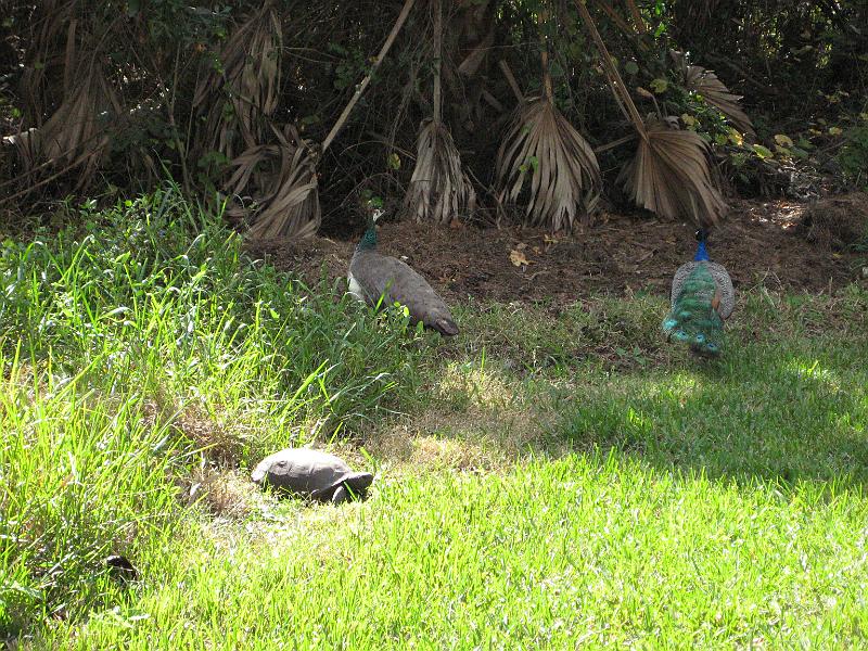 Picture 020